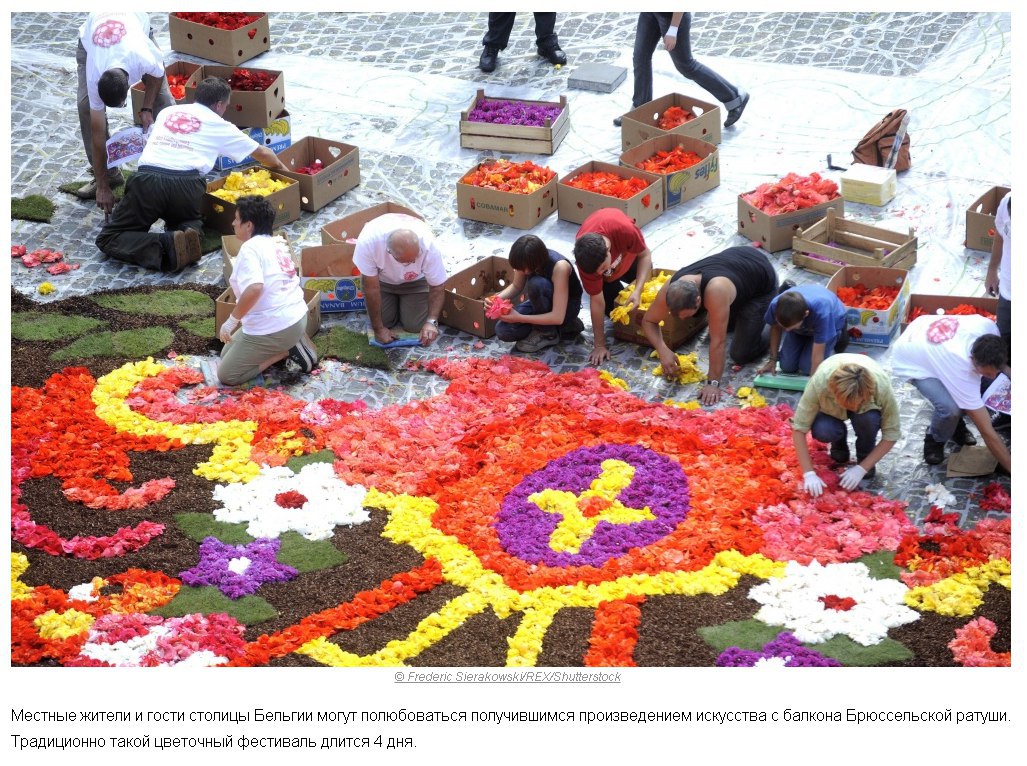 Цветочный ковер в Бельгии