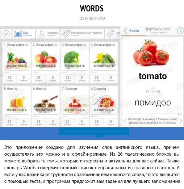 8 мобильных приложений для прокачки мозга