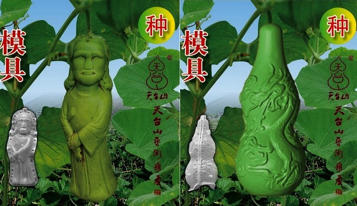В Китае выращивают дизайнерские овощи и фрукты в форме фигурок известных личностей