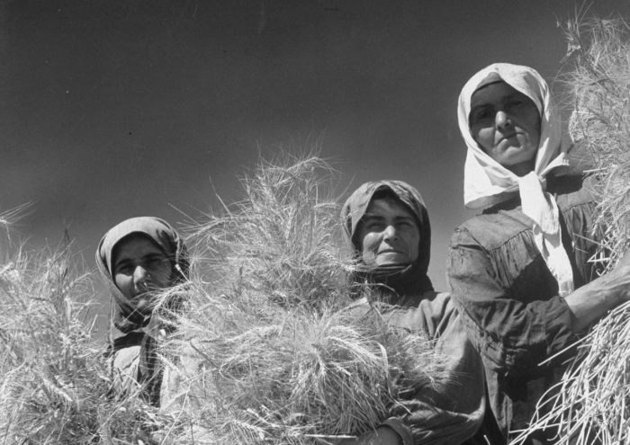 Женщины в СССР: 15 фотографий разных лет, сделанных зарубежными фотографами