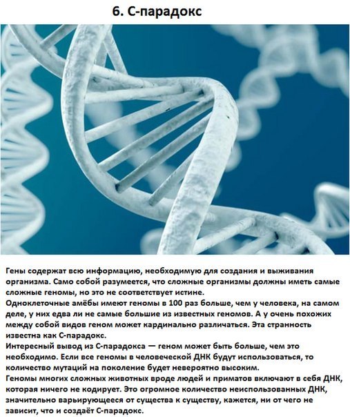 Несколько интересных парадоксов Несколько интересных парадоксов