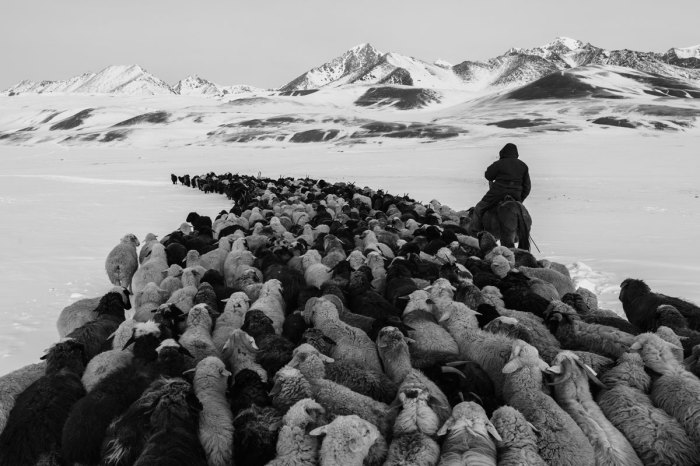 16 фотографий от победителей ежегодного международного конкурса Sony World Photography Awards