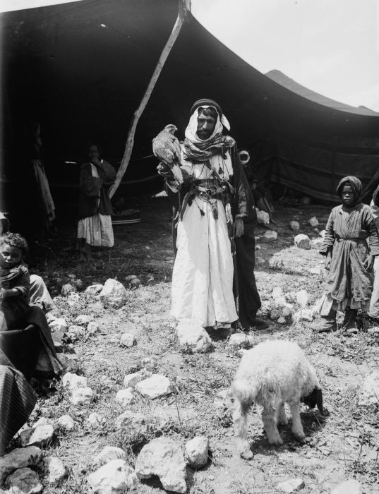 Культура и образ жизни бедуинов на фотографиях конца XIX века