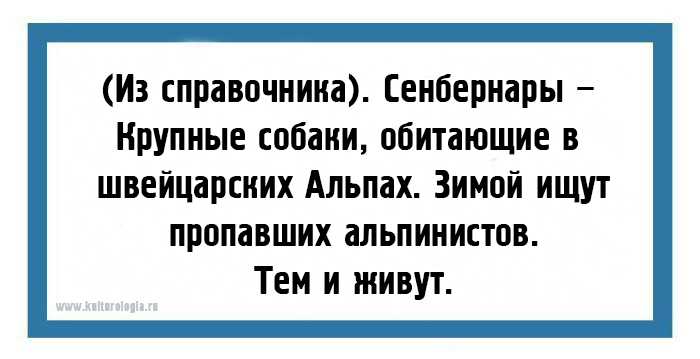 24 юмористические открытки с шутками из повседневной жизни