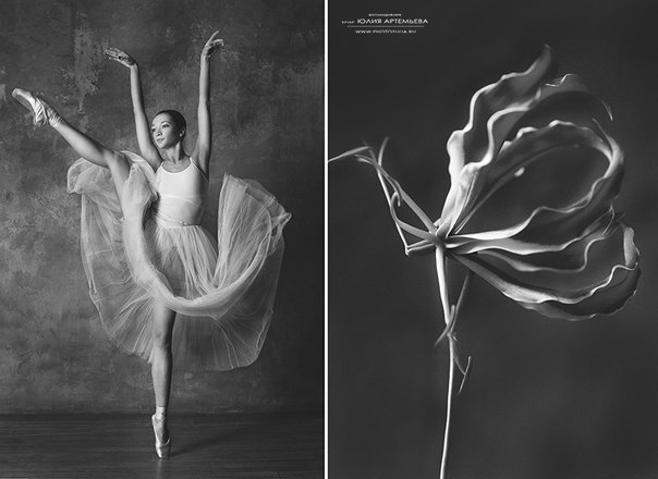 Потрясающий проект фотохудожника Юлии Артемьевой "Балерина и цветы"