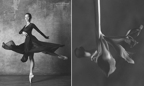 Потрясающий проект фотохудожника Юлии Артемьевой "Балерина и цветы"