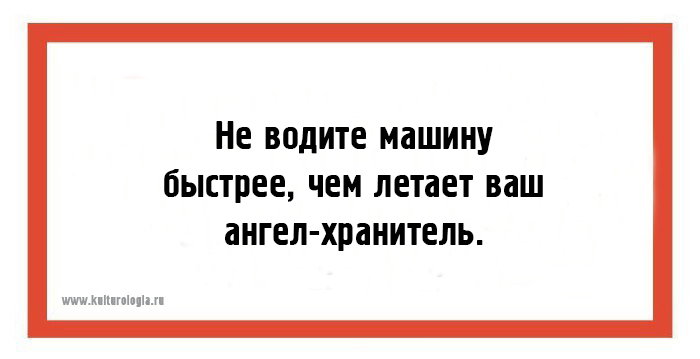 24 юмористические открытки с шутками из повседневной жизни