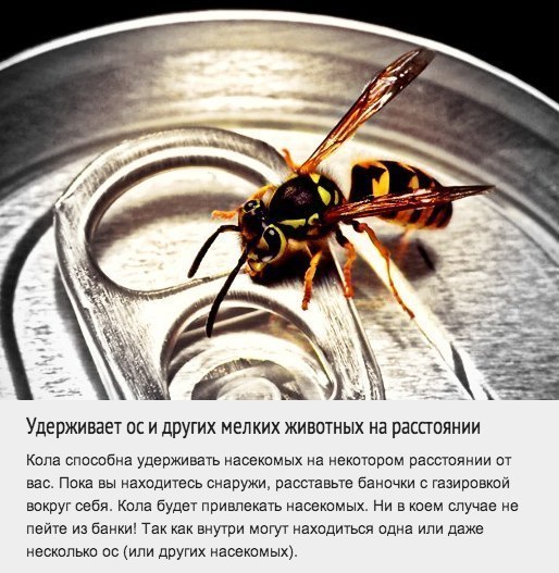 Самые неожиданные применения колы